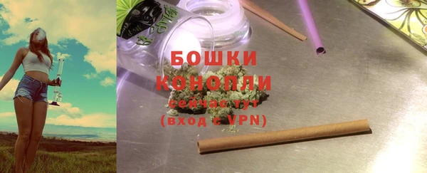 дживик Богородск