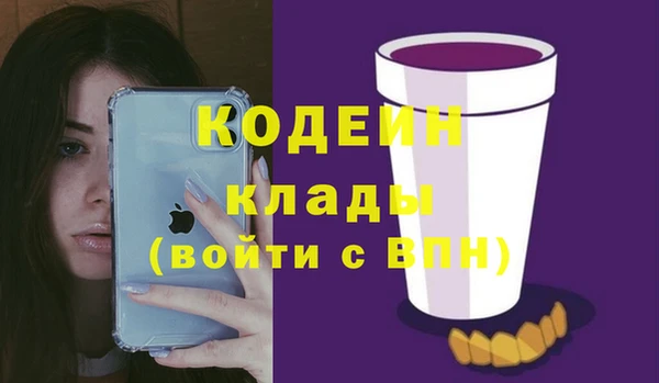 дживик Богородск