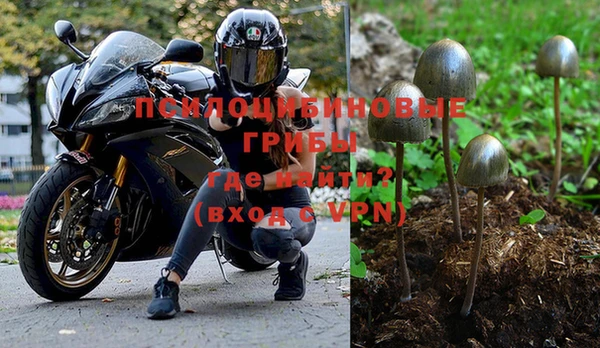 бошки Богданович