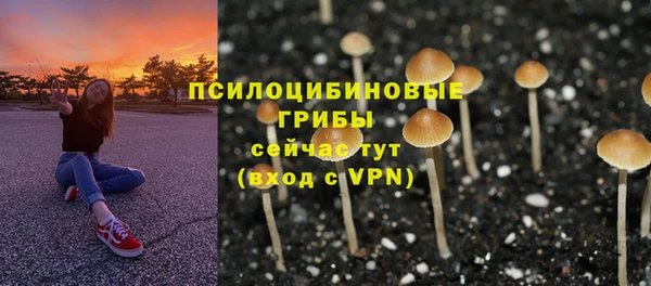 дурь Ачинск