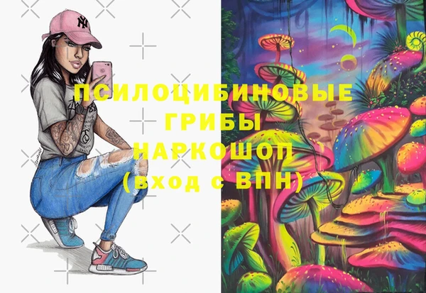 дживик Богородск
