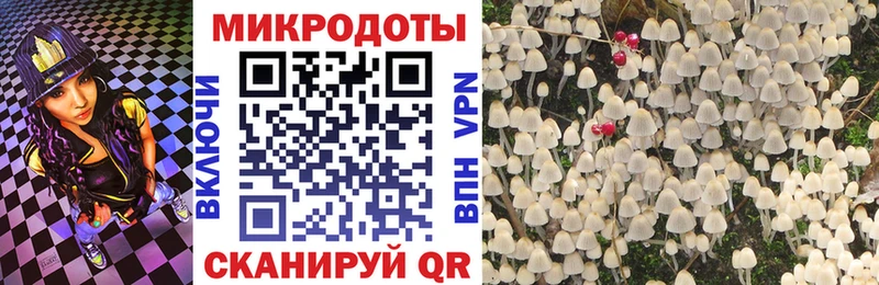 Галлюциногенные грибы GOLDEN TEACHER  Борисоглебск 