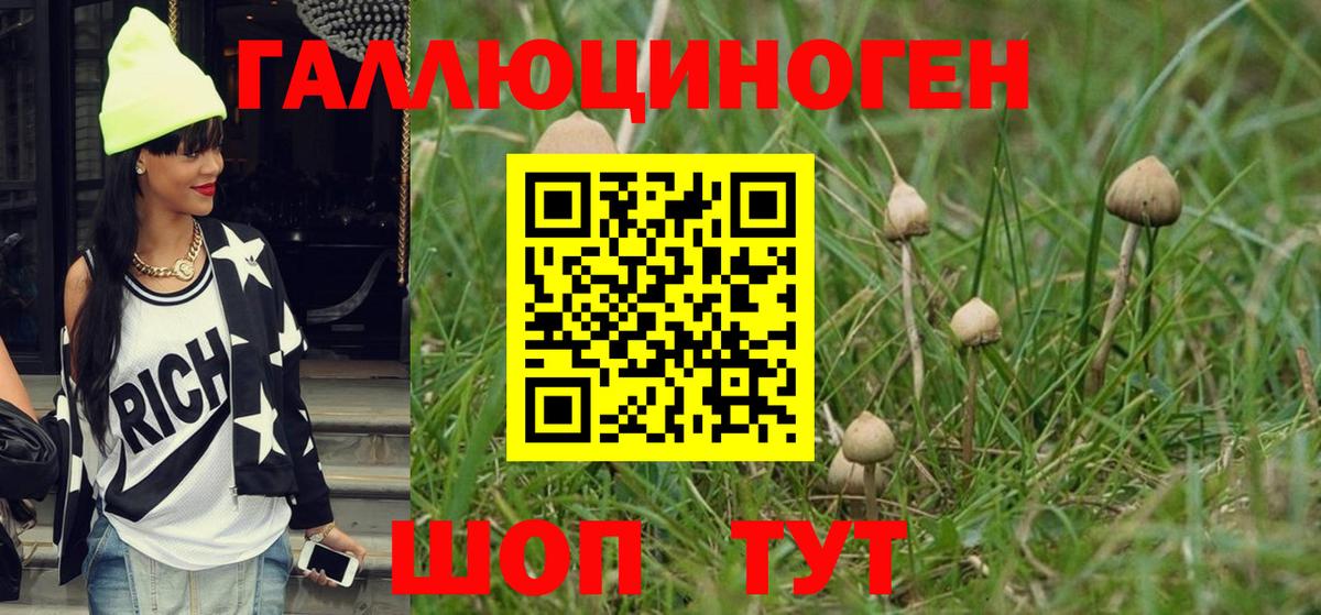 Галлюциногенные грибы GOLDEN TEACHER  Галлюциногенные грибы Cubensis  Вход с VPN  Борисоглебск 